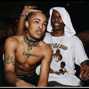 Meet your Posher, Riley